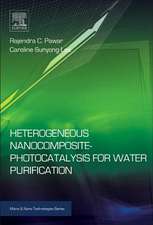 Heterogeneous Nanocomposite-Photocatalysis for Water Purification