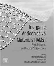 Inorganic Anticorrosive Materials: Past, Present and Future Perspectives