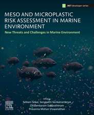 Meso and Microplastic Risk Assessment in Marine Environments: New Threats and Challenges