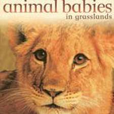 Reading 2007 Big Book Grade K Unit 2 Week 3 Animal Babies in Grasslands