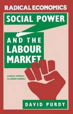 Social Power and the Labour Market: A Radical Approach to Labour Economics