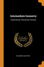 Intermediate Geometry: Experimental, Theoretical, Practical