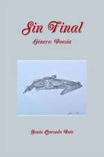 Sin Final