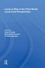 Lands At Risk In The Third World: Local-level Perspectives