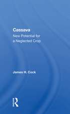 Cassava: New Potential For A Neglected Crop