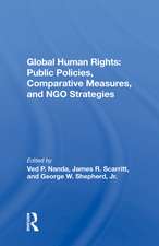 Global Human Rights: Public Policies, Comparative Measures, And Ngo Strategies