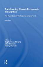 Transforming China's Economy In The Eighties: Vol. 1: The Rural Sector, Welfare And Employment