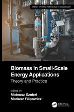 Biomass in Small-Scale Energy Applications: Theory and Practice