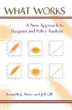What Works: A New Approach To Program And Policy Analysis
