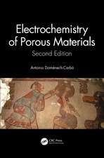 Electrochemistry of Porous Materials