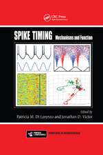 Spike Timing: Mechanisms and Function