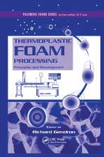 Thermoplastic Foam Processing: Principles and Development