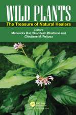 Wild Plants: The Treasure of Natural Healers