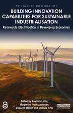 Building Innovation Capabilities for Sustainable Industrialisation: Renewable Electrification in Developing Economies