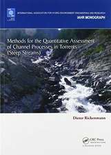 Methods for the Quantitative Assessment of Channel Processes in Torrents (Steep Streams)