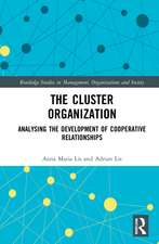 The Cluster Organization