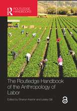 The Routledge Handbook of the Anthropology of Labor