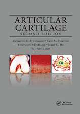 Articular Cartilage