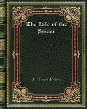 The Life of the Spider