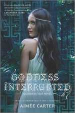 Goddess Interrupted