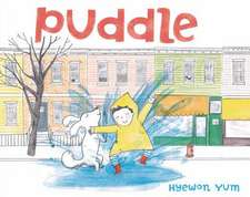 Puddle