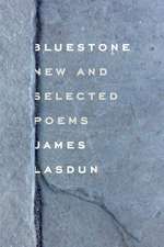 BlueStone: New and Selected Poems