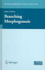 Branching Morphogenesis