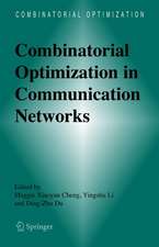 Combinatorial Optimization in Communication Networks