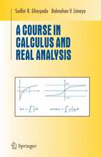 A Course in Calculus and Real Analysis