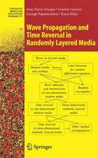 Wave Propagation and Time Reversal in Randomly Layered Media