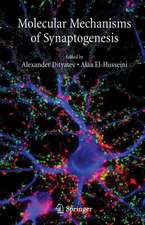 Molecular Mechanisms of Synaptogenesis