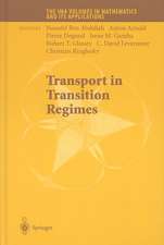 Transport in Transition Regimes