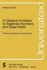 A Classical Invitation to Algebraic Numbers and Class Fields