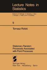 Stationary Random Processes Associated with Point Processes