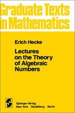 Lectures on the Theory of Algebraic Numbers