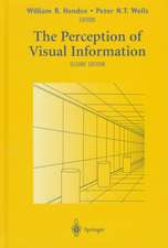 The Perception of Visual Information