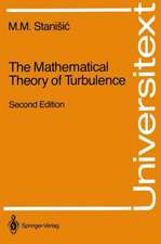 The Mathematical Theory of Turbulence