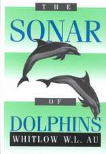 The Sonar of Dolphins