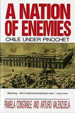 A Nation of Enemies – Chile Under Pinochet (Paper)