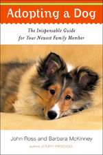 Adopting a Dog – The Indispensable Guide for your Newest Family Member