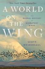 A World on the Wing – The Global Odyssey of Migratory Birds