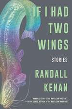 If I Had Two Wings – Stories