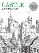 Castle: A Caldecott Honor Award Winner