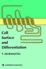 Cell Surface and Differentiation