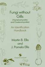 Fungi without Gills (Hymenomycetes and Gasteromycetes): An identification handbook