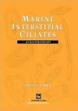 Marine Interstitial Ciliates: An illustrated key