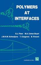 Polymers at Interfaces