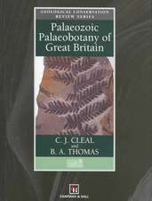 Palaeozoic Palaeobotany of Great Britain