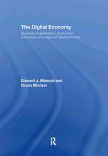 The Digital Economy: Business Organization, Production Processes and Regional Developments