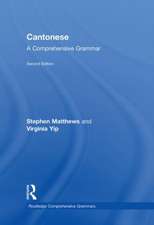 Cantonese: A Comprehensive Grammar